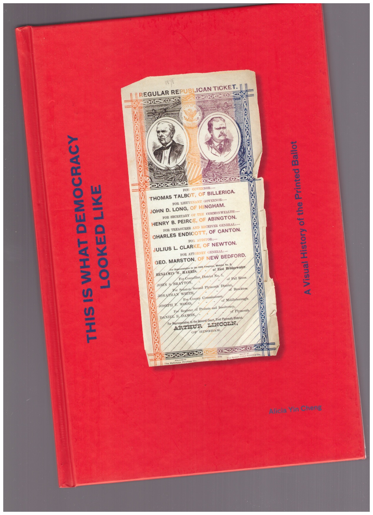 YIN CHENG, Alicia - This Is What Democracy Looked Like